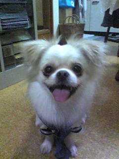 Image002.jpg