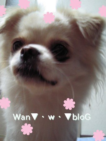yuen.jpg