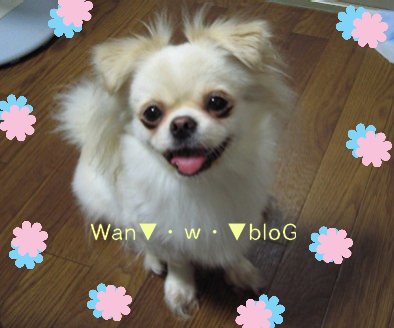yuen10.jpg