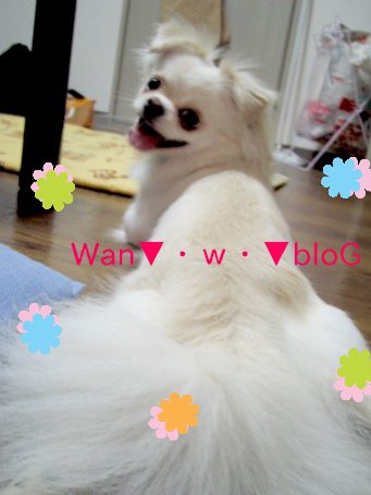yuen2.jpg