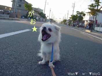 yuen6.jpg
