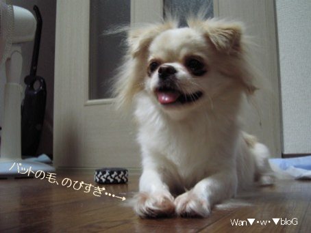 yuenpattoke.jpg